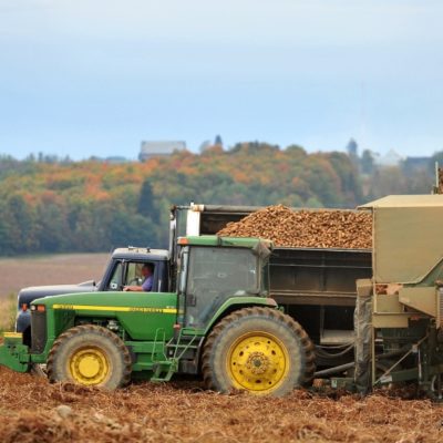 photo of tractors trucks harvester potatoes